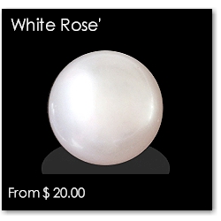 Freshwater Round White Rose Pearl