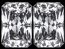 Danburite Pair Octagon Eye clean