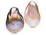 Freshwater Pearl Drop 50.820 CTS
